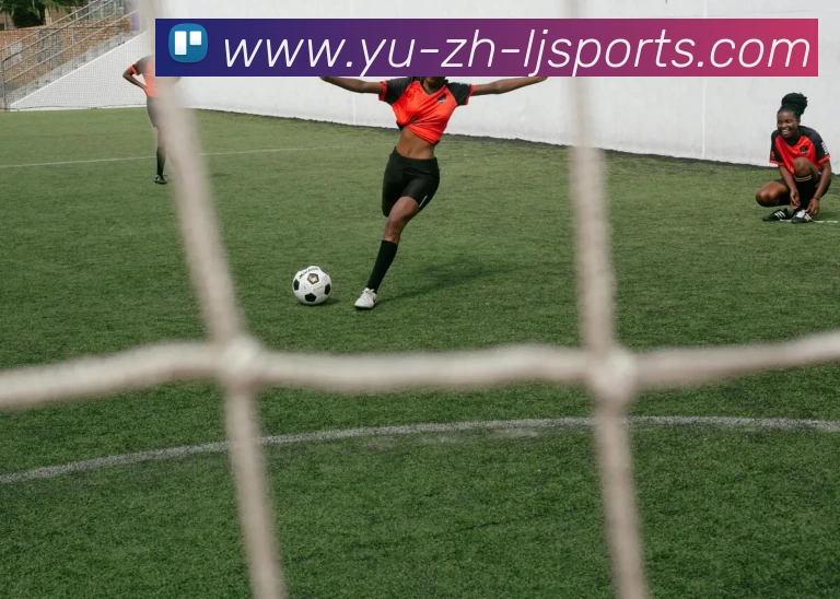 乐竞体育官网平台生态图